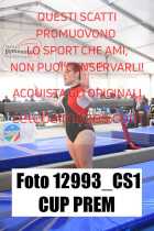 12993_CS1-CUP-PREM