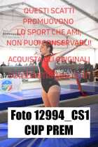 12994_CS1-CUP-PREM