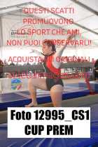 12995_CS1-CUP-PREM