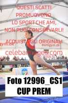 12996_CS1-CUP-PREM