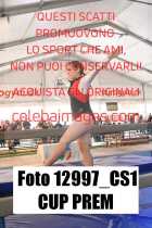 12997_CS1-CUP-PREM