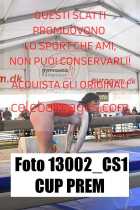 13002_CS1-CUP-PREM