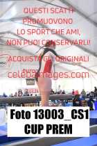 13003_CS1-CUP-PREM