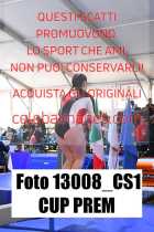 13008_CS1-CUP-PREM