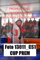 13011_CS1-CUP-PREM