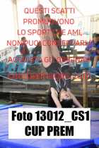 13012_CS1-CUP-PREM