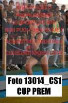 13014_CS1-CUP-PREM