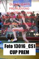 13016_CS1-CUP-PREM