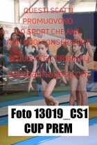 13019_CS1-CUP-PREM