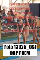 13025_CS1-CUP-PREM