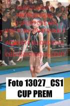 13027_CS1-CUP-PREM