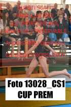 13028_CS1-CUP-PREM