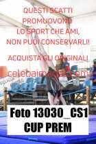 13030_CS1-CUP-PREM