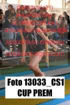 13033_CS1-CUP-PREM