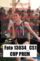 13034_CS1-CUP-PREM