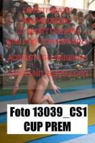13039_CS1-CUP-PREM