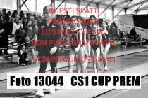 13044_CS1-CUP-PREM