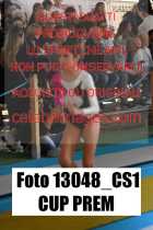 13048_CS1-CUP-PREM