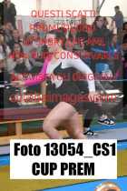 13054_CS1-CUP-PREM