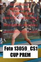 13059_CS1-CUP-PREM
