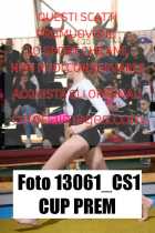 13061_CS1-CUP-PREM