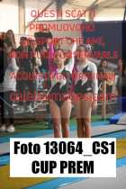 13064_CS1-CUP-PREM