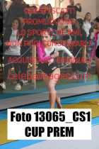 13065_CS1-CUP-PREM