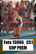13066_CS1-CUP-PREM