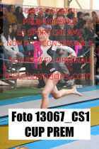 13067_CS1-CUP-PREM