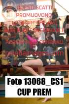13068_CS1-CUP-PREM
