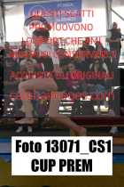 13071_CS1-CUP-PREM