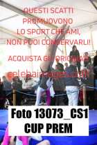 13073_CS1-CUP-PREM