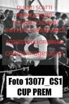13077_CS1-CUP-PREM