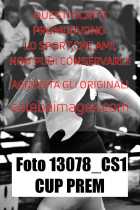13078_CS1-CUP-PREM