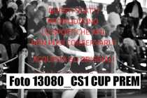 13080_CS1-CUP-PREM