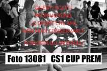 13081_CS1-CUP-PREM