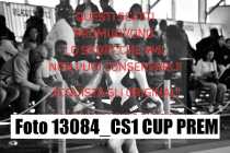 13084_CS1-CUP-PREM