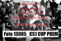 13085_CS1-CUP-PREM