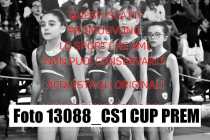 13088_CS1-CUP-PREM