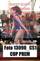 13090_CS1-CUP-PREM