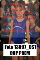 13097_CS1-CUP-PREM