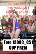 13098_CS1-CUP-PREM