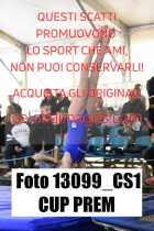 13099_CS1-CUP-PREM