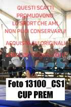 13100_CS1-CUP-PREM