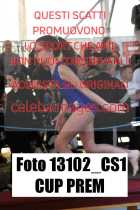 13102_CS1-CUP-PREM