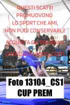 13104_CS1-CUP-PREM
