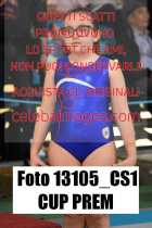 13105_CS1-CUP-PREM