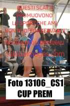 13106_CS1-CUP-PREM