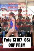 13107_CS1-CUP-PREM
