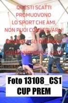 13108_CS1-CUP-PREM